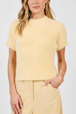 Rudy Ribbed Short Sleeve Sweater